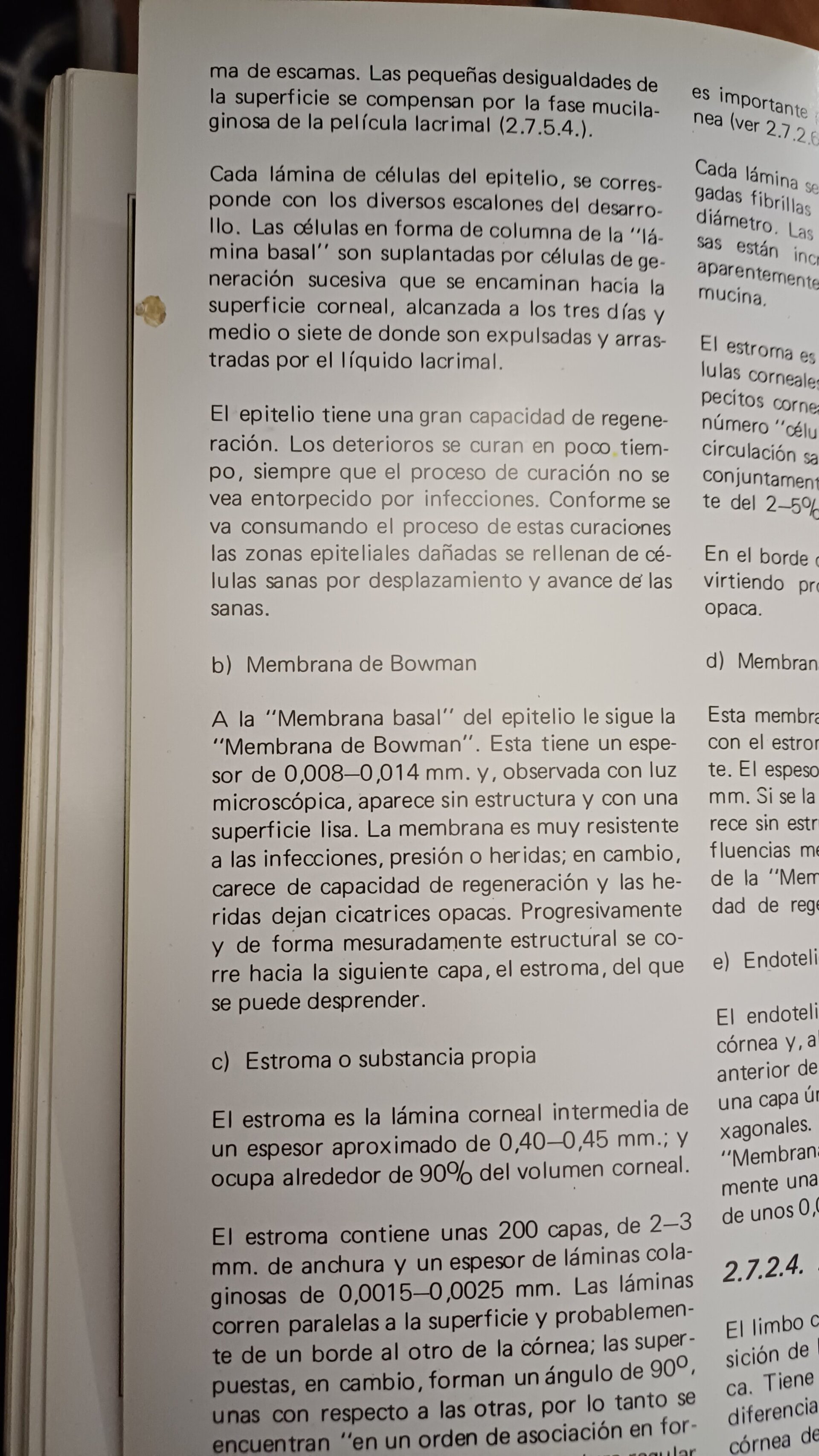 Lentes de Contacto: Introducción. - 4