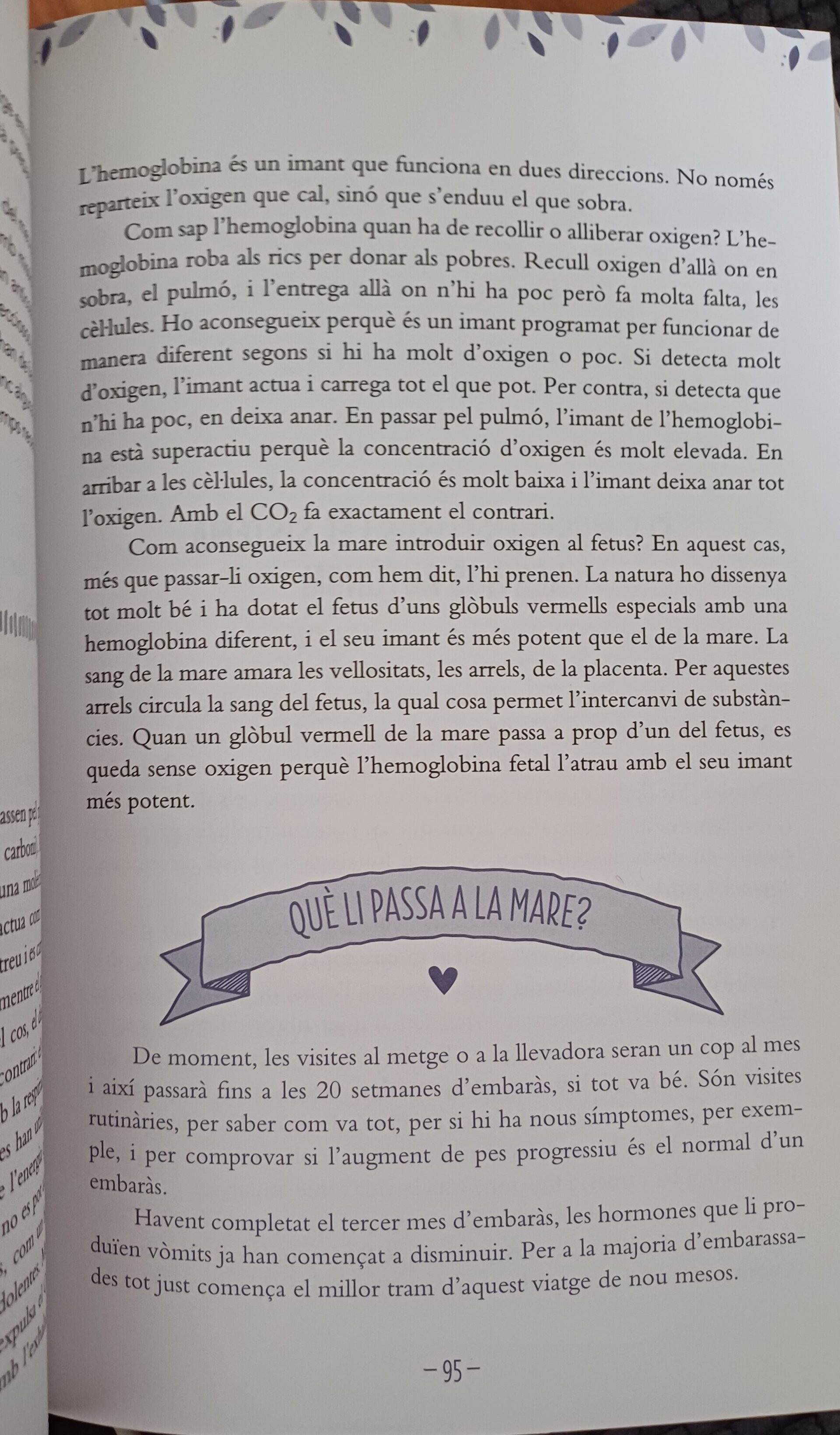 9 mesos des de dins, uma guia de l´embaràs diferente per descobrir el que sent t - 5